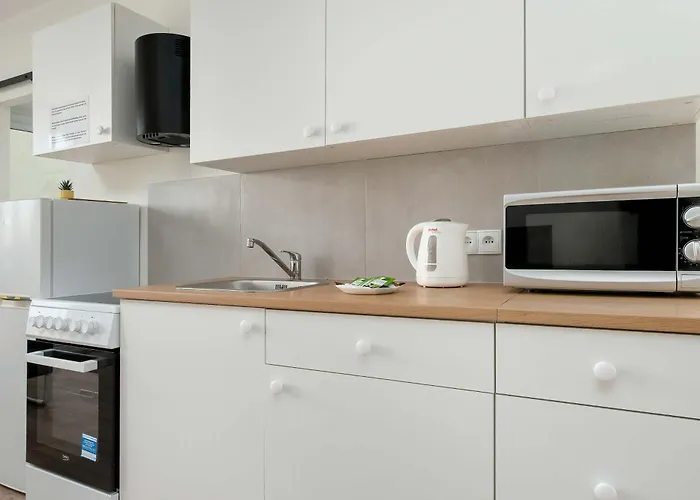 Seaside In Near Ergo Arena By Renters *