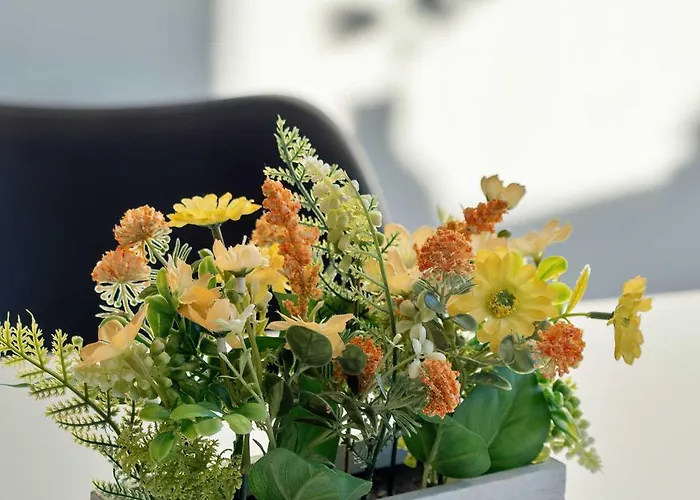 Seaside In Near Ergo Arena By Renters *